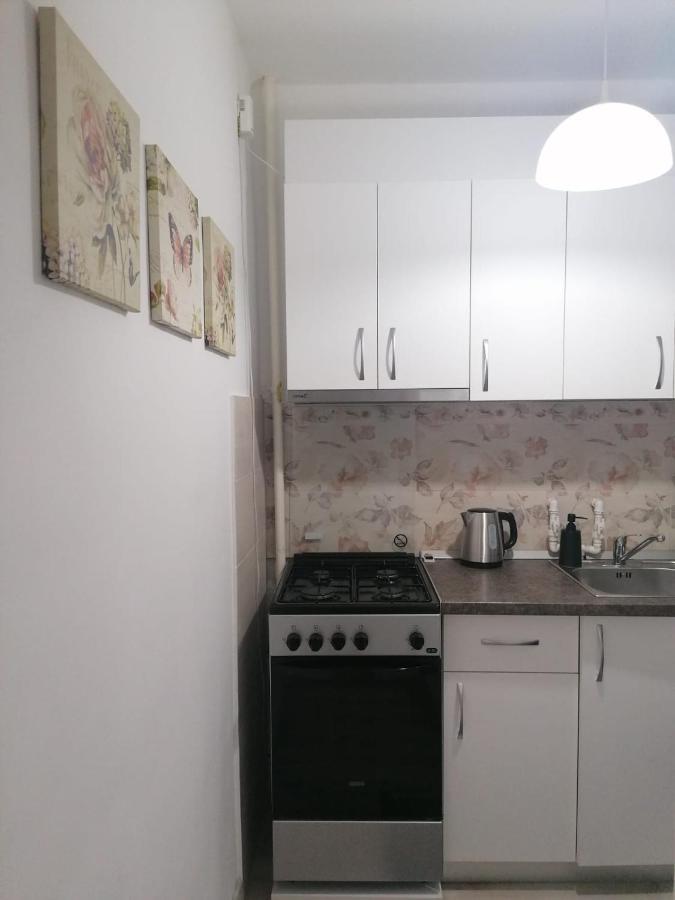 Laroka House Cosy And Modern Apartment Universitate-City Centre Bukarest Exteriör bild